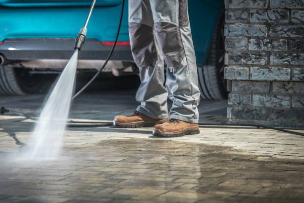 Pre-Holiday Cleaning in Morrice, MI